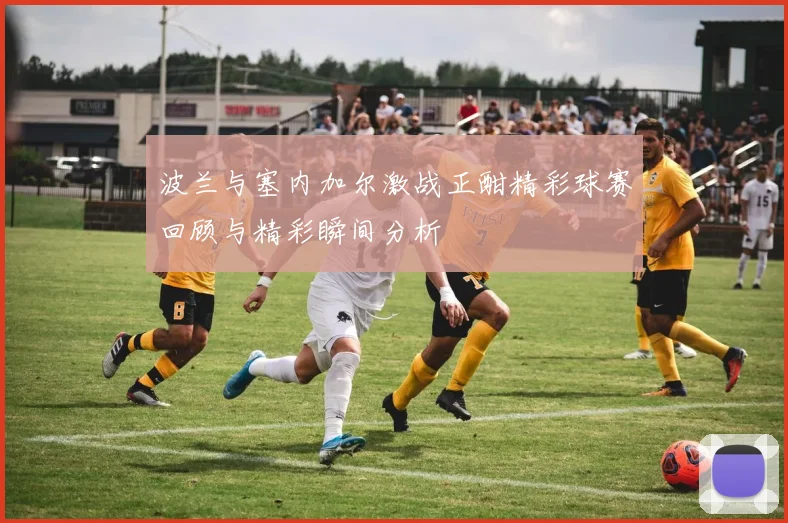波兰与塞内加尔激战正酣精彩球赛回顾与精彩瞬间分析